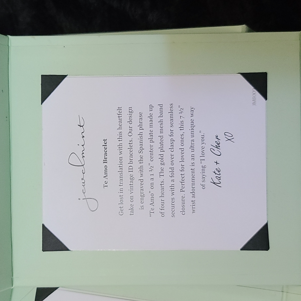 Empty Jewelmint boxes (pale green newer generation boxes)